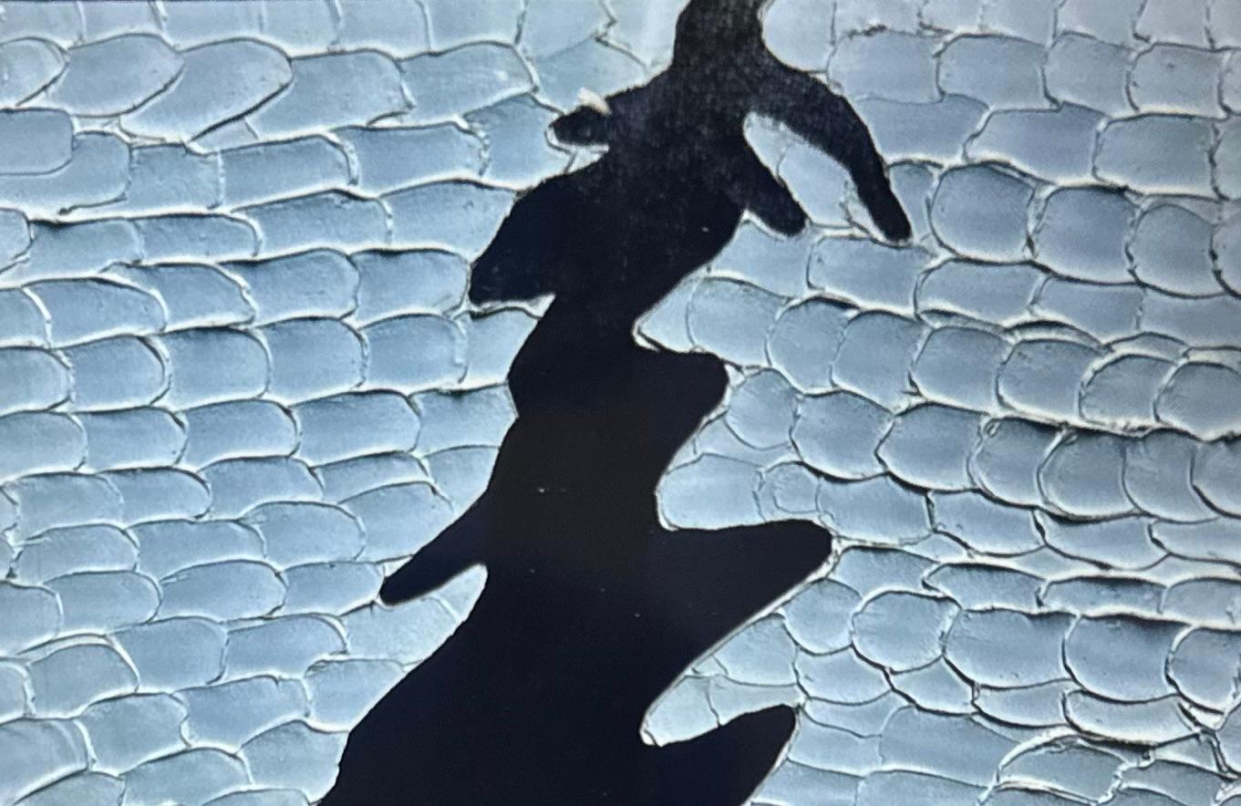 Clear Lake- Textured Abstract Painting